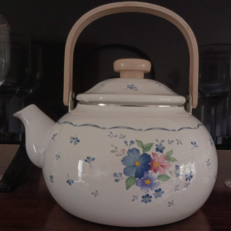 Dauphine Metal Kettle & Lid by Nikko-1