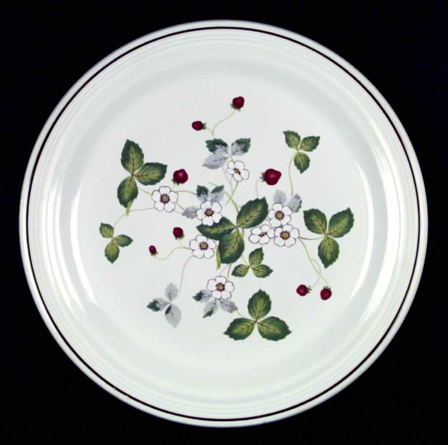 Evergreen Dinner Plate by Nikko-1