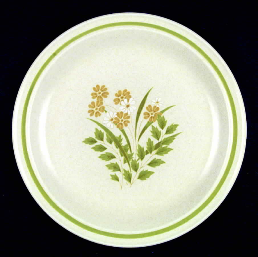 Fern Green Dinner Plate by Nikko-1