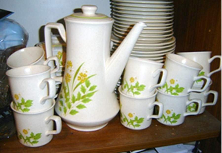 Fern Green Coffee Pot & Lid by Nikko-1