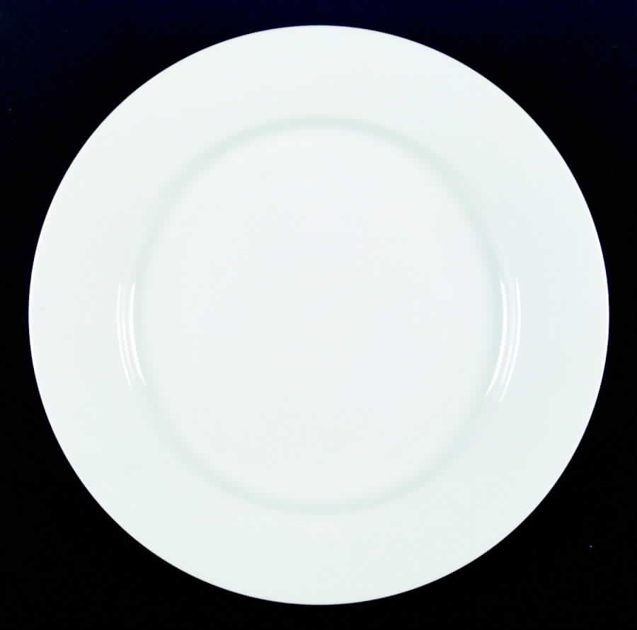 Glacier Dinner Plate by Nikko-1