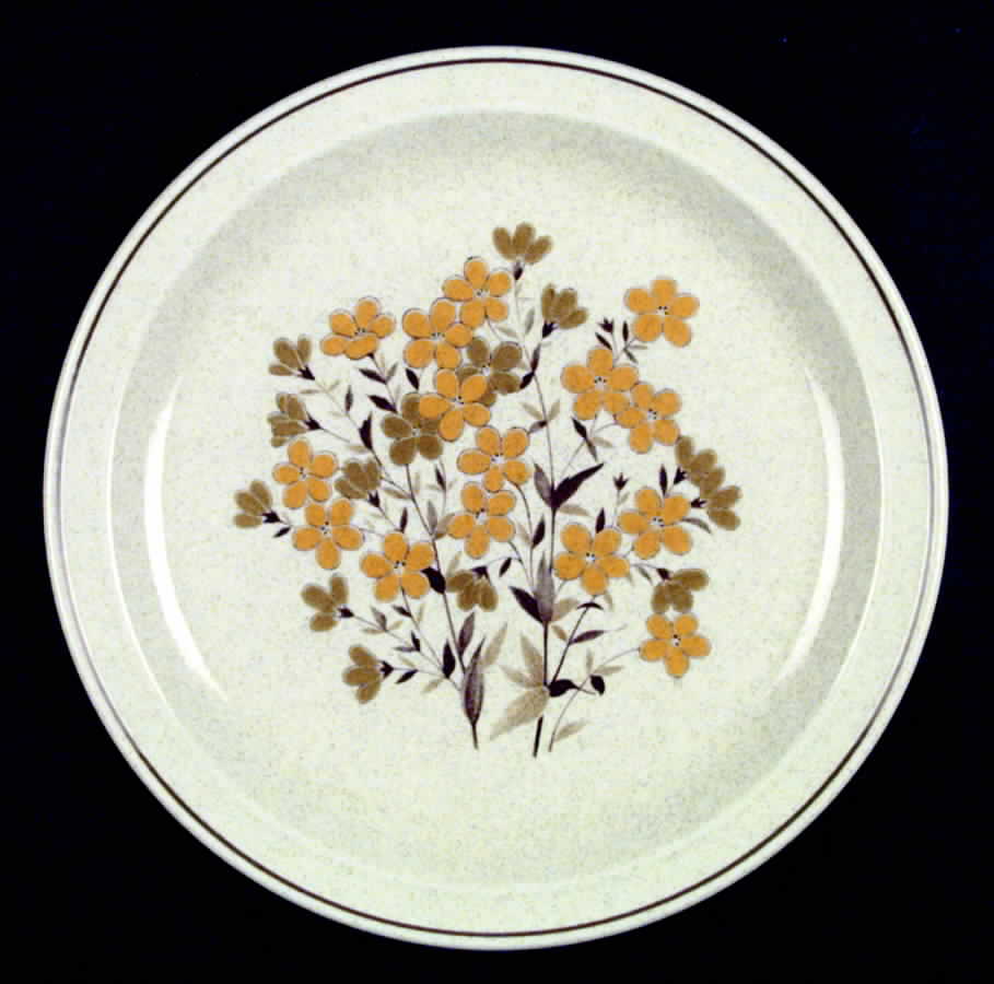 Indian Summer Dinner Plate by Nikko-1