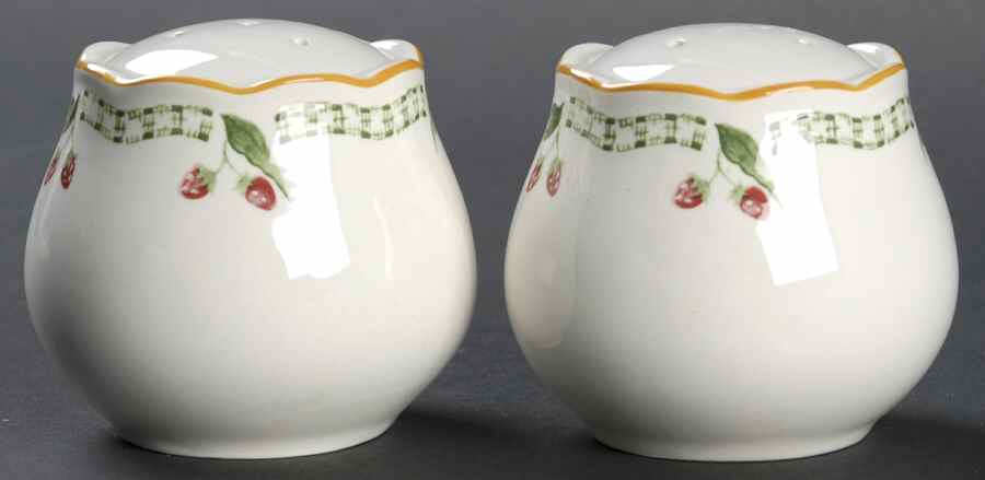 In Season Salt & Pepper Set by Nikko-1