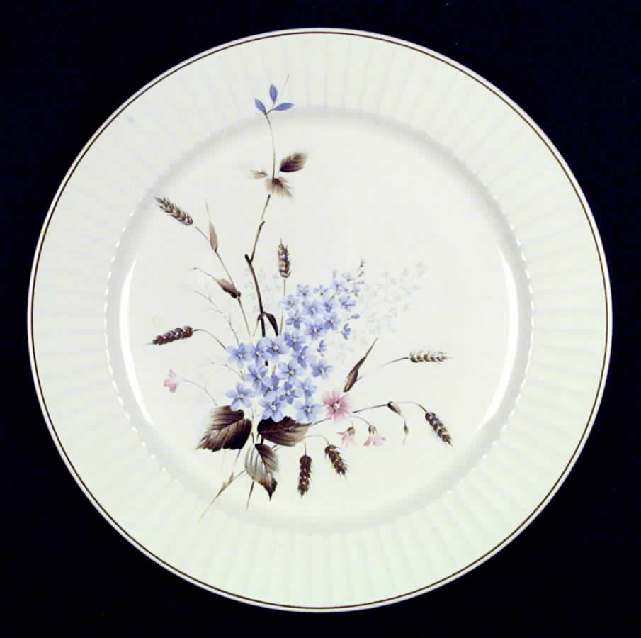 Inspiration Dinner Plate by Nikko-1