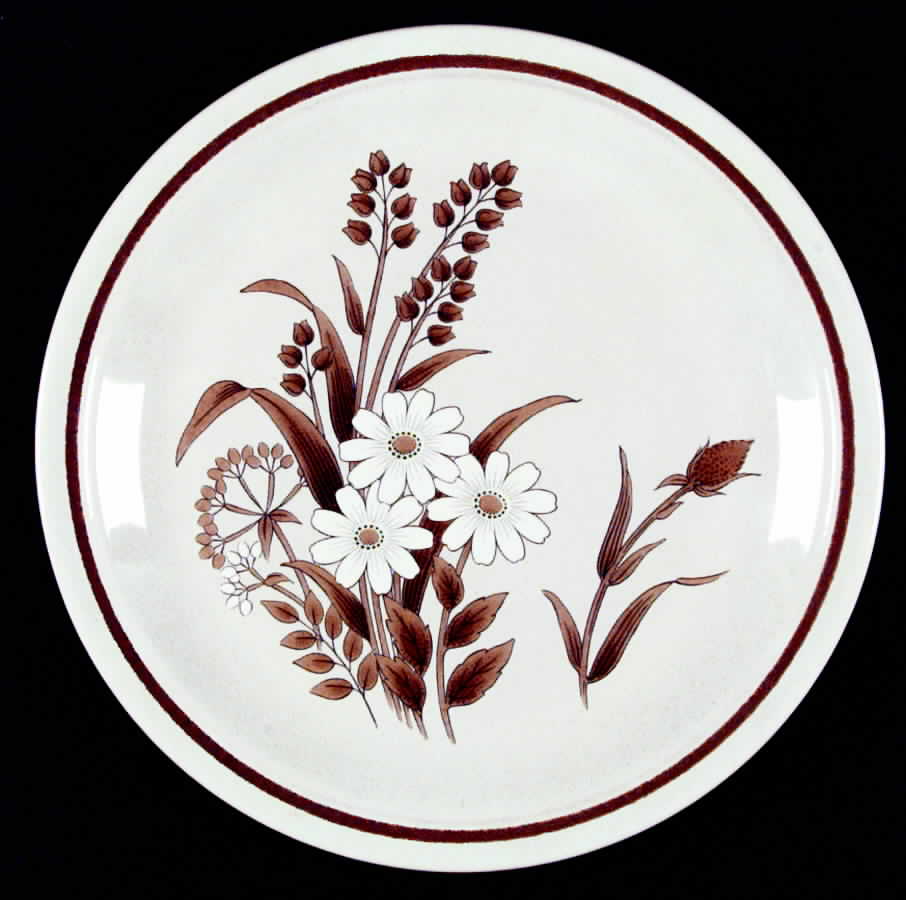 Meadowland Dinner Plate by Nikko-1