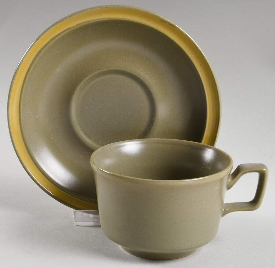 Mesa Verde Flat Cup & Saucer Set by Nikko-1