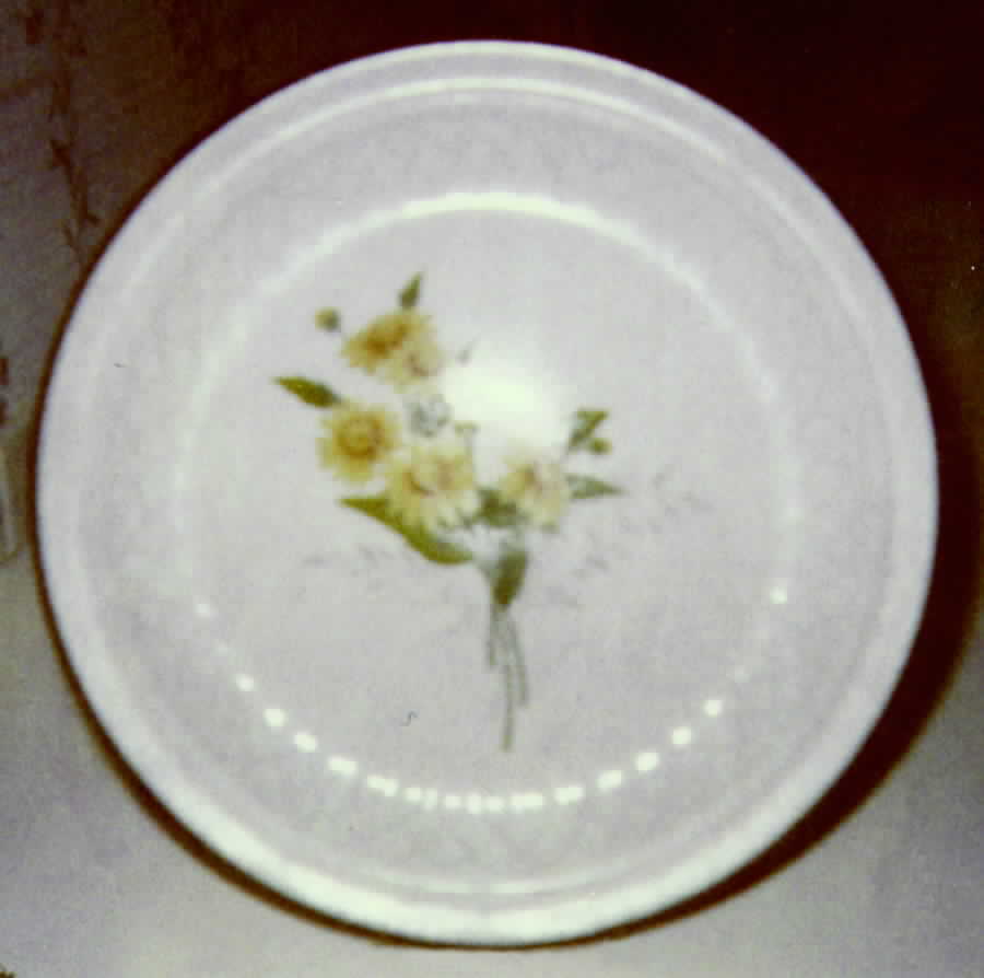 NIK23 Dinner Plate by Nikko-1
