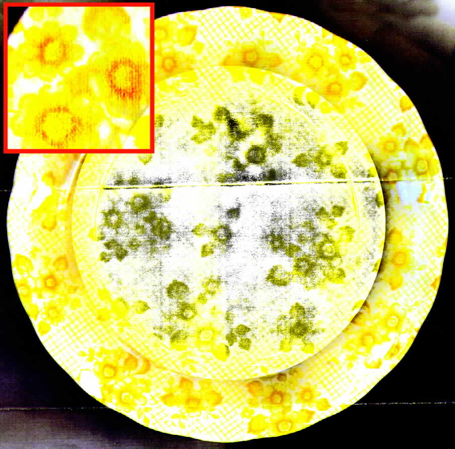 NIK34 Bread & Butter Plate by Nikko-1