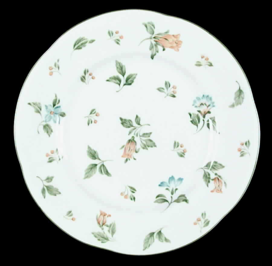 Rambling Rose Salad Plate by Nikko-1