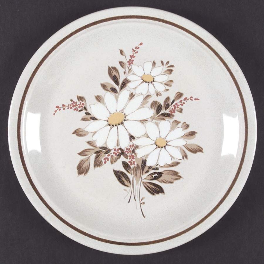 Shasta Dinner Plate by Nikko-1
