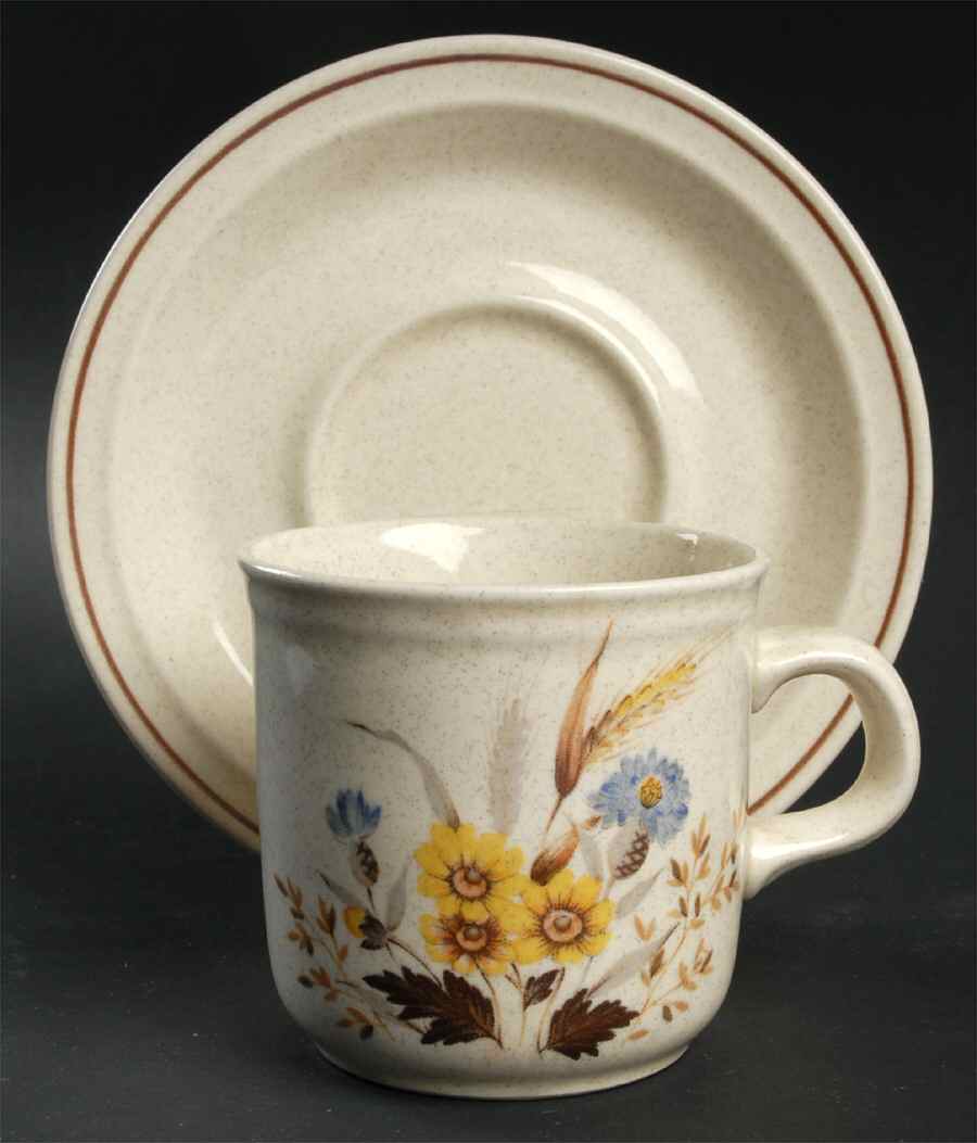 Woodrush Flat Cup & Saucer Set by Nikko-1