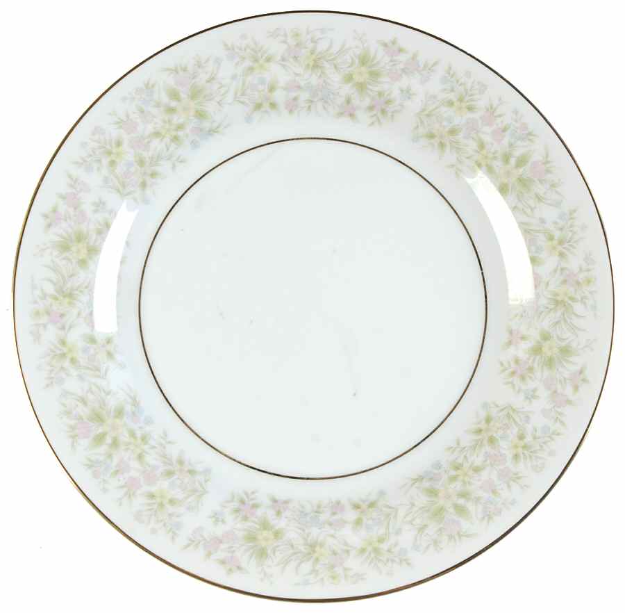 Botanica Salad Plate by Nitto-1