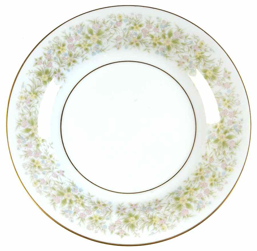 Botanica Bread & Butter Plate by Nitto-1