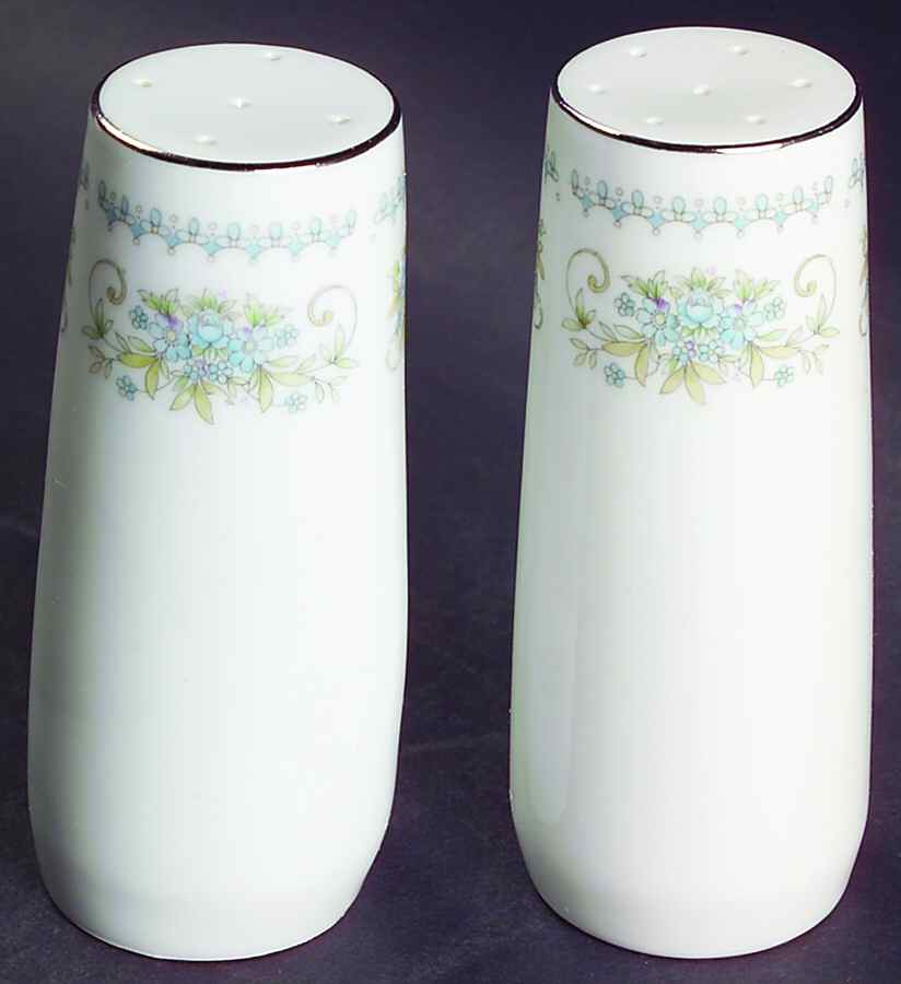 Hanover Platinum Salt & Pepper Set by Nitto-1