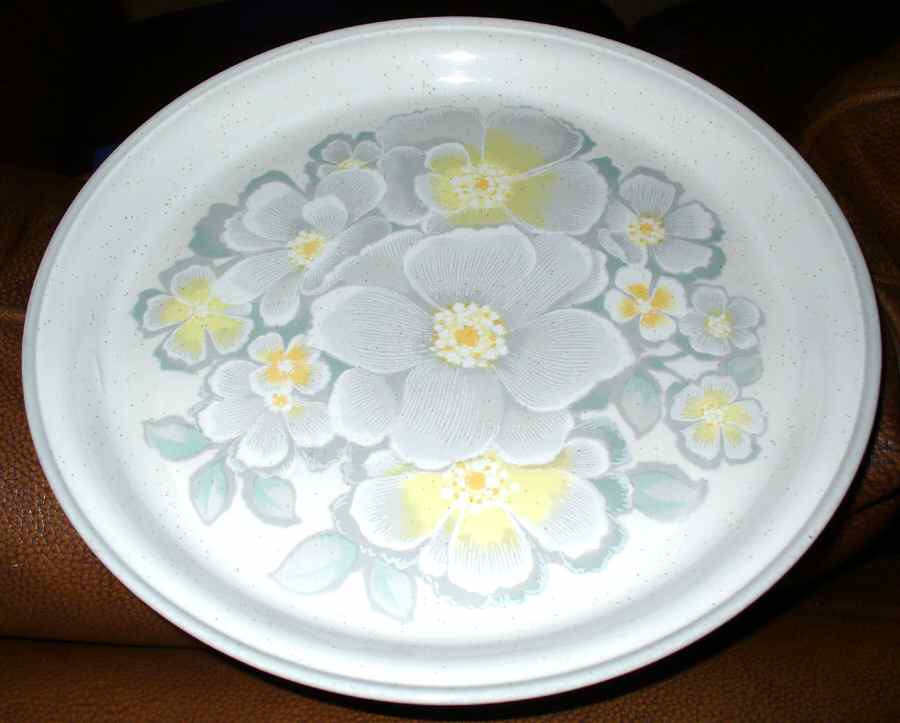 Shadow Dinner Plate by Nitto-1