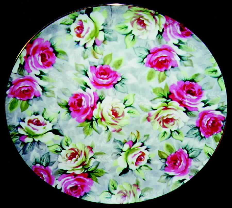 NOT2 Dinner Plate by Norcrest-1