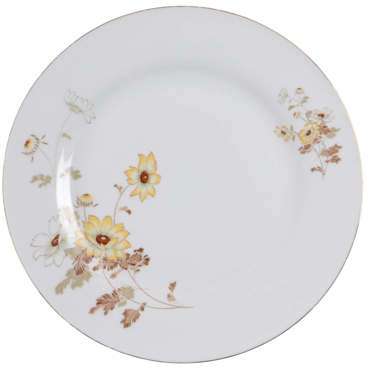 NTH3 Dinner Plate by Northridge-1