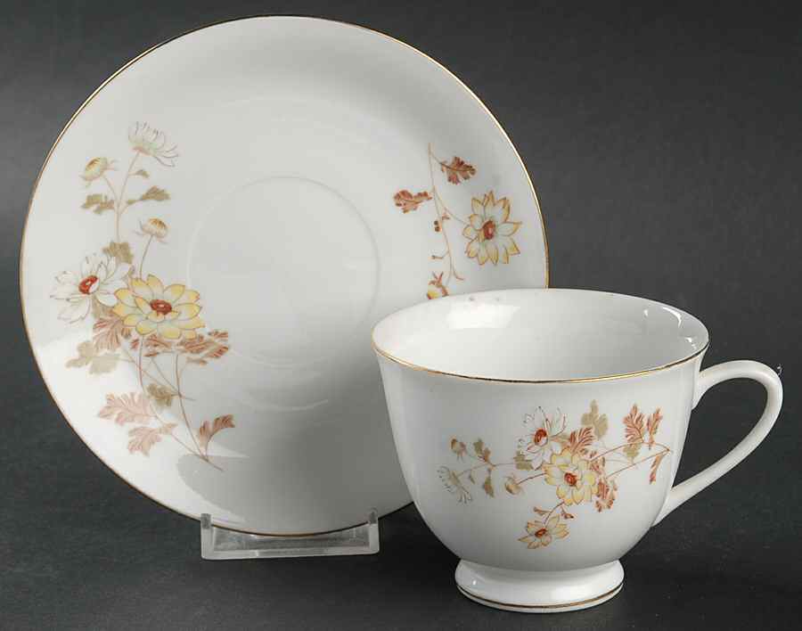 NTH3 Footed Cup & Saucer Set by Northridge-1