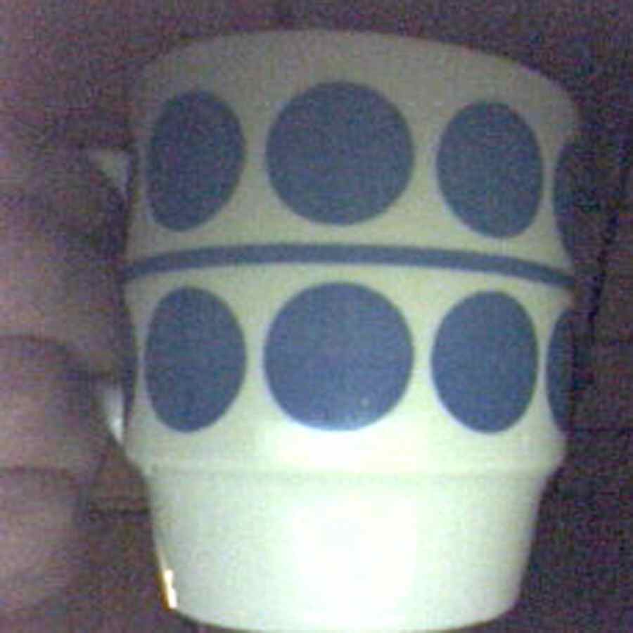 Polka Dot Mug by Northland-1