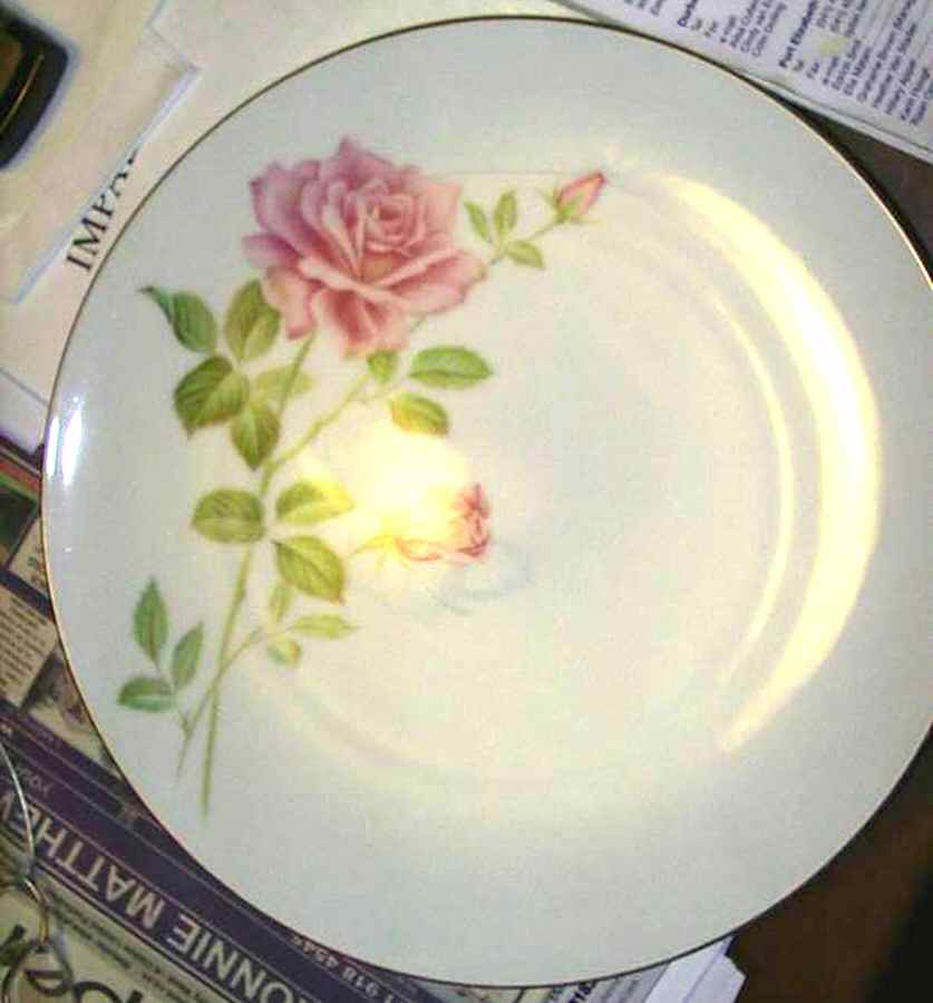 Juanita Dinner Plate by Noritake-1