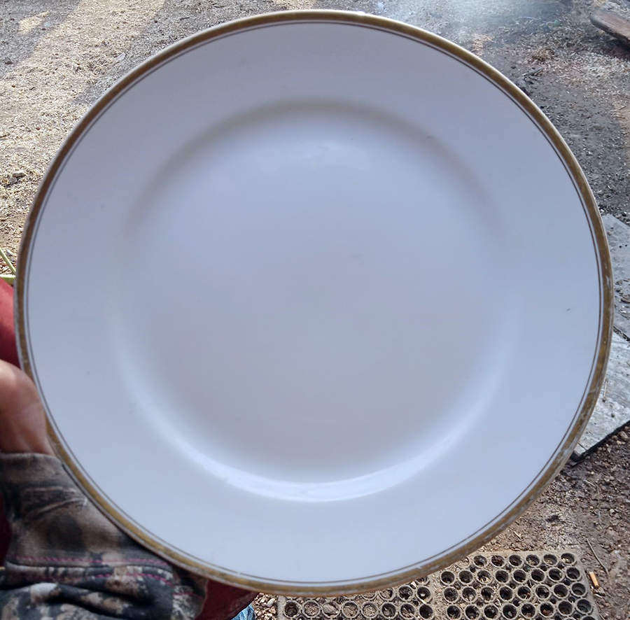 N1423 Dinner Plate by Noritake-1