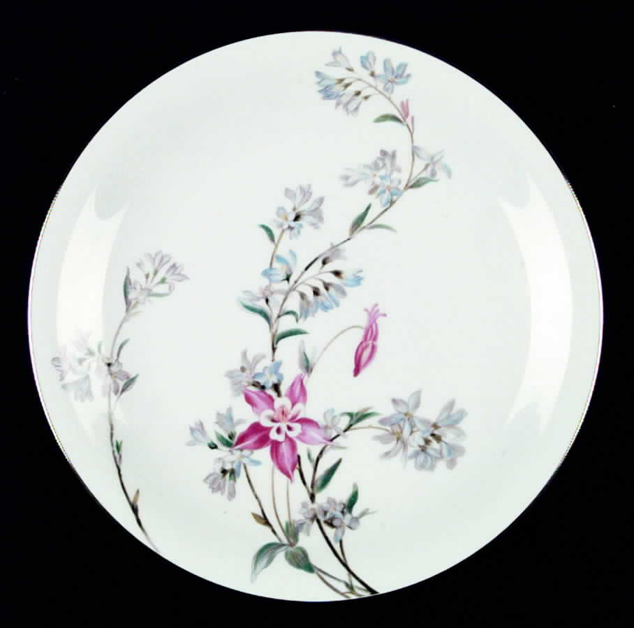Verna (Platinum Trim) Dinner Plate by Noritake-1