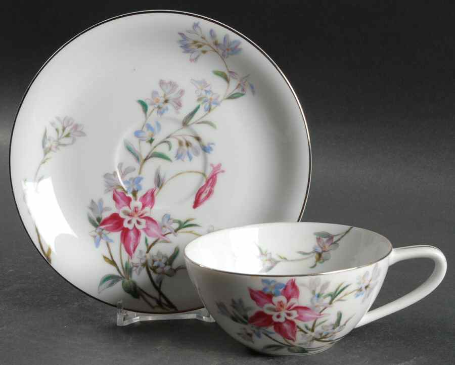 Verna (Platinum Trim) Flat Cup & Saucer Set by Noritake-1