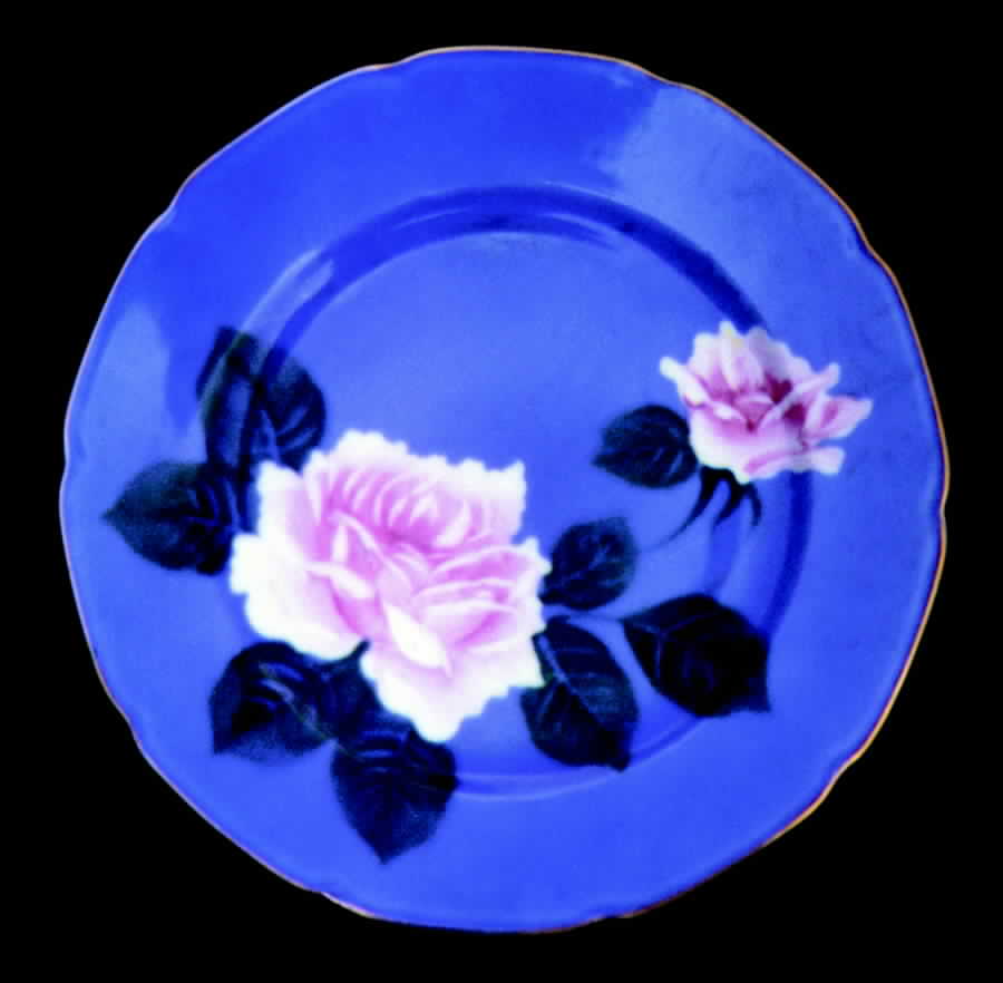 N948 Dinner Plate by Noritake-1