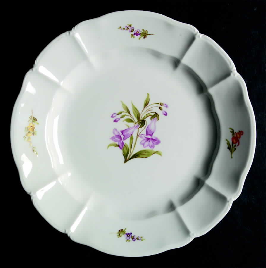 NYM2 Dinner Plate by Nymphenburg-1