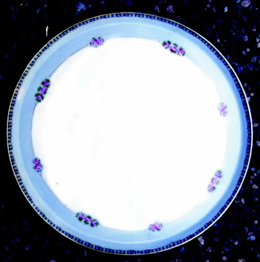 N959 Dinner Plate by Noritake-1