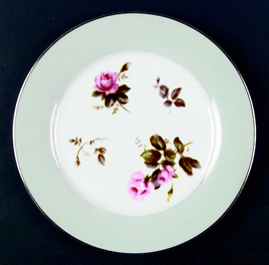 260 Dinner Plate by Noritake-1