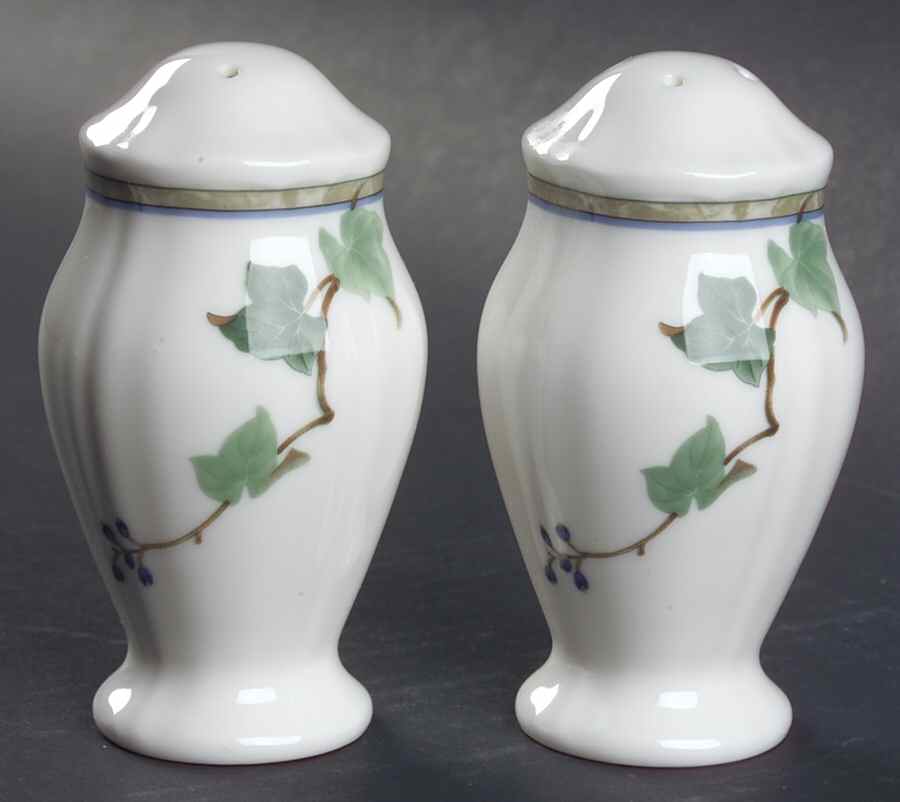 Ivy Grove Salt & Pepper Set by Noritake-1