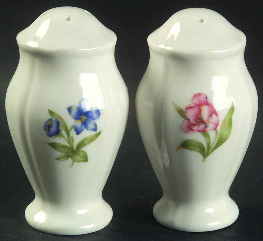 Sonoma Trellis Salt & Pepper Set by Noritake-1