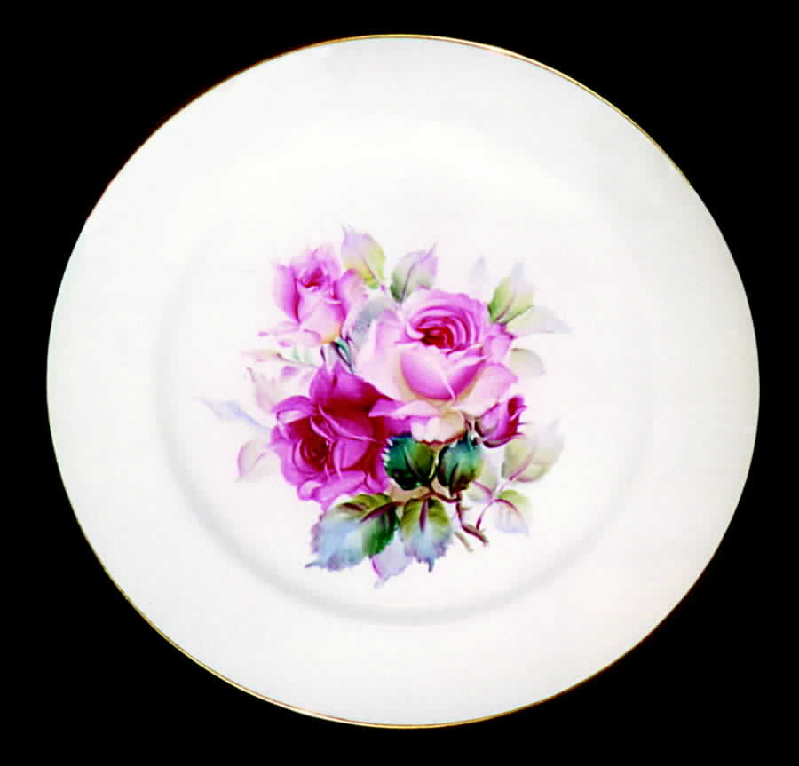 N1018 Dinner Plate by Noritake-1