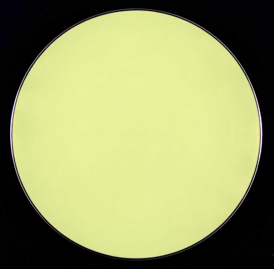 N1017 Dinner Plate by Noritake-1