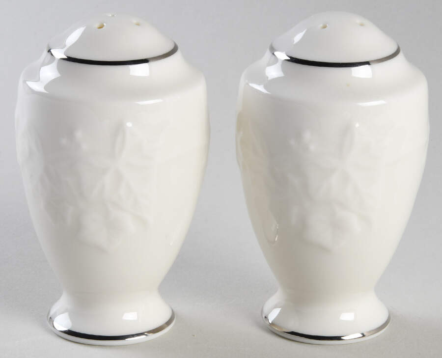 Halls of Ivy Platinum Salt & Pepper Set by Noritake-1