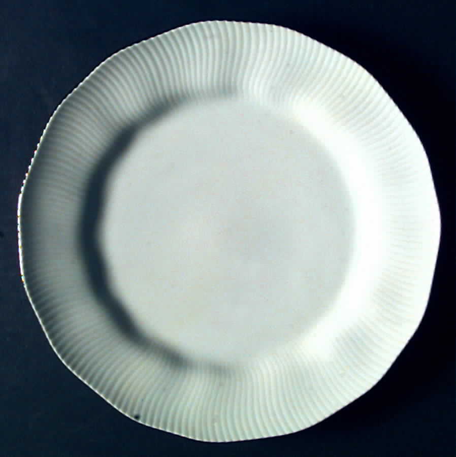 Pacific Hill Platinum Dinner Plate by Noritake-1