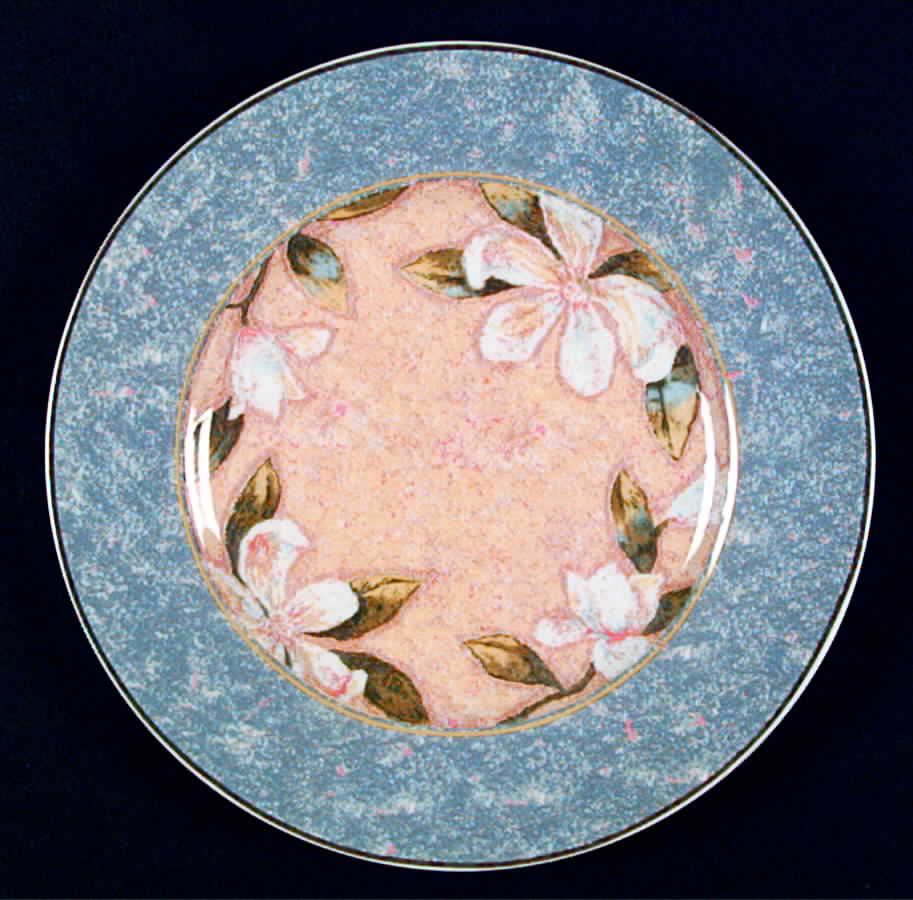 Suncoast Salad Plate by Noritake-1