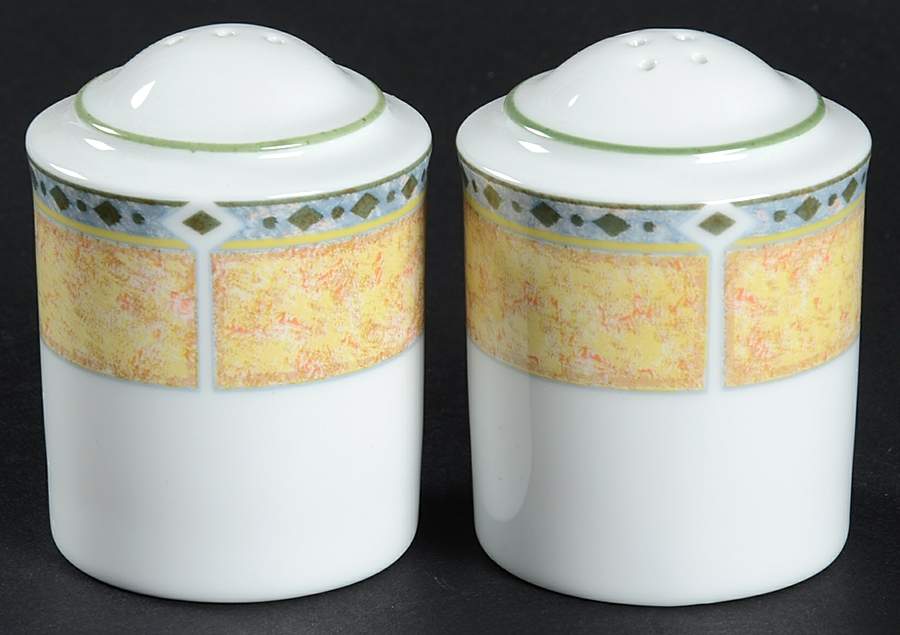 Suncoast Salt & Pepper Set by Noritake-1