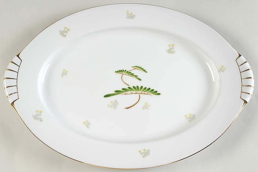 NAR31 17" Oval Serving Platter by Narumi-1
