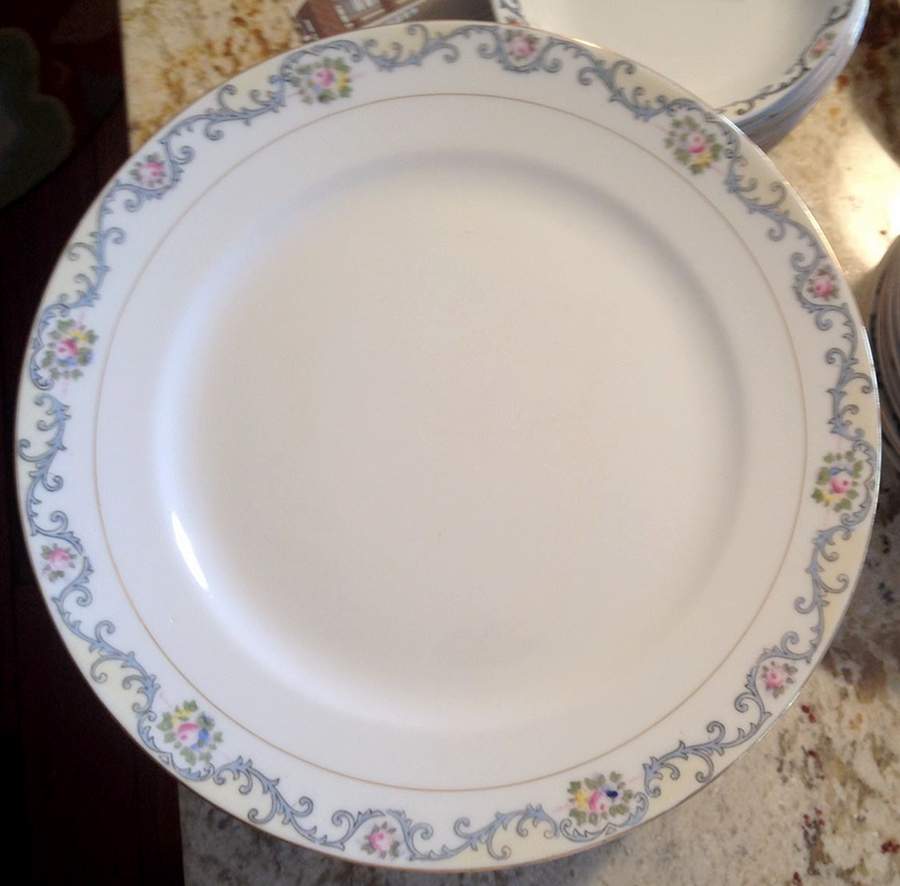 N1045 Dinner Plate by Noritake-1