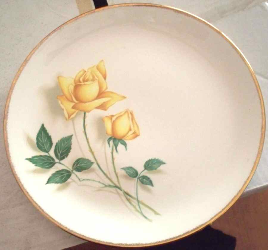 Rose & Leaf Dinner Plate by Nasco China (USA)-1