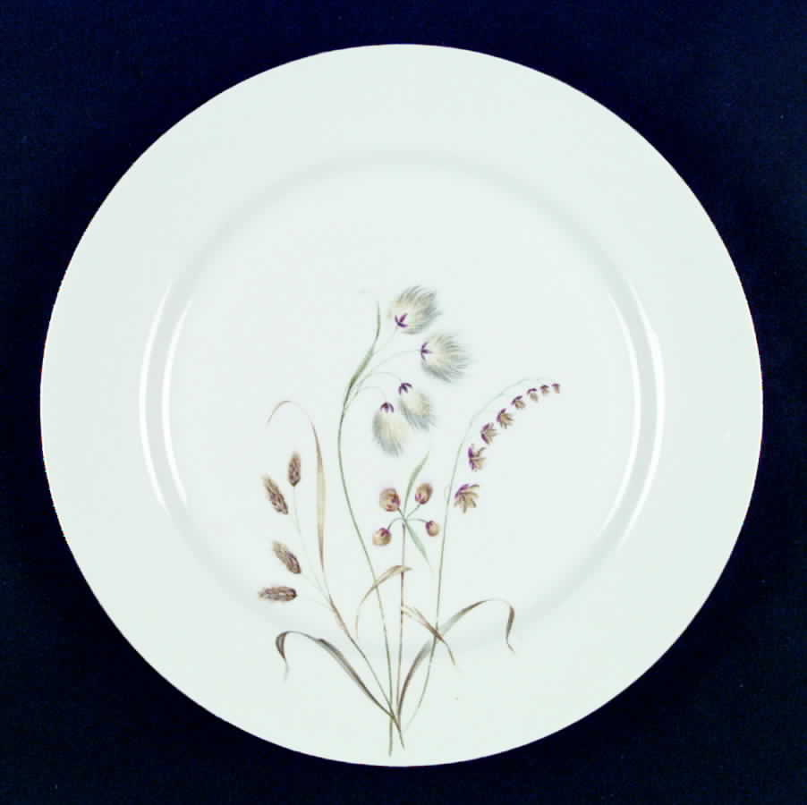 NEU2 Dinner Plate by Hans Neuerer-1