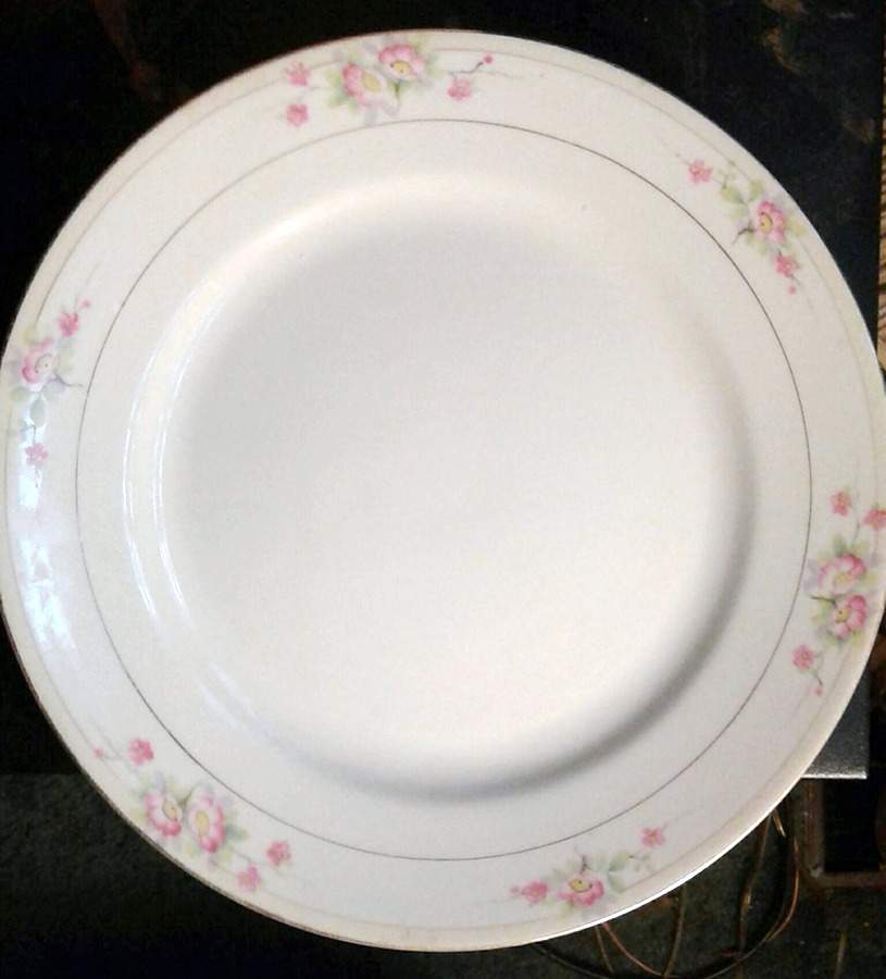 N1128 Dinner Plate by Noritake-1