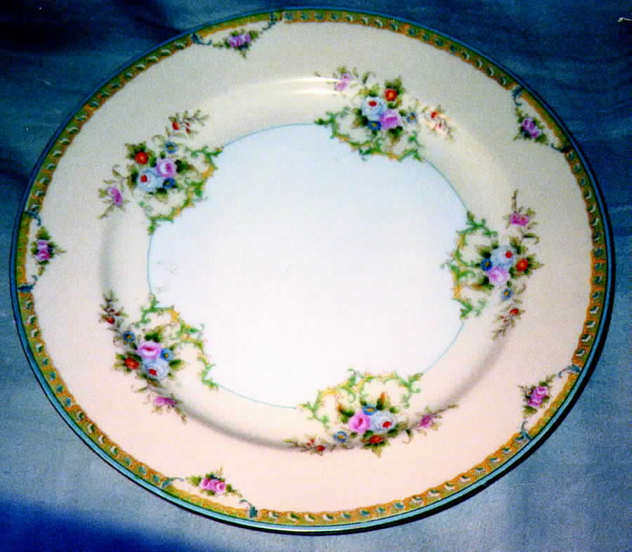 N1131 Dinner Plate by Noritake-1