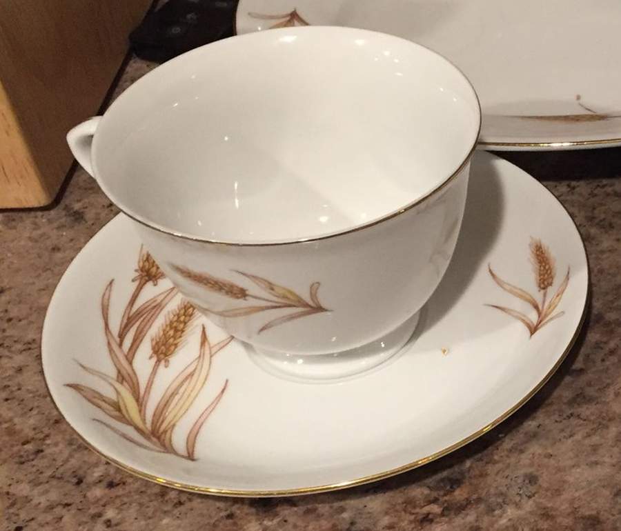 Winter Wheat Flat Cup & Saucer Set by China (Made in China)-1