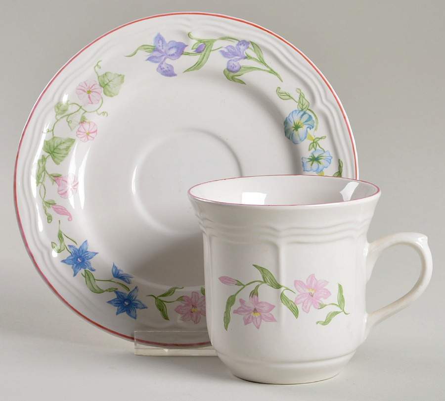 Avignon Flat Cup & Saucer Set by Newcor-1
