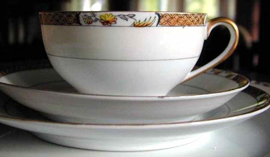 N1197 Footed Cup & Saucer Set by Noritake-1