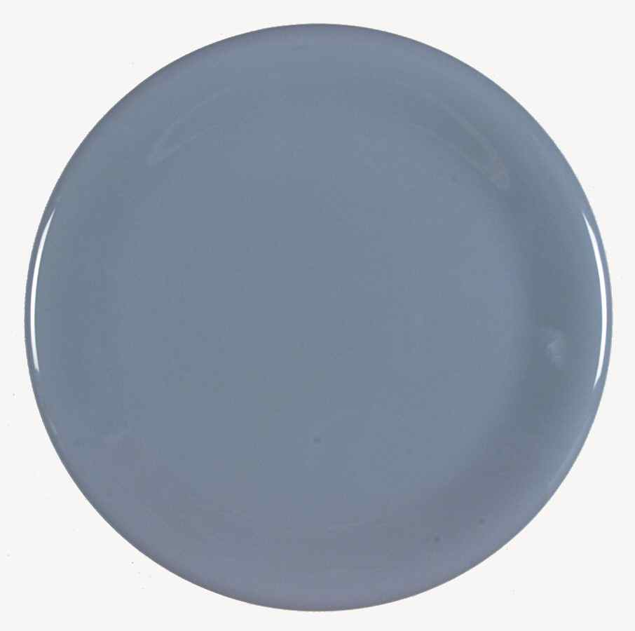 Bravo Slate Blue Dinner Plate by Newcor-1