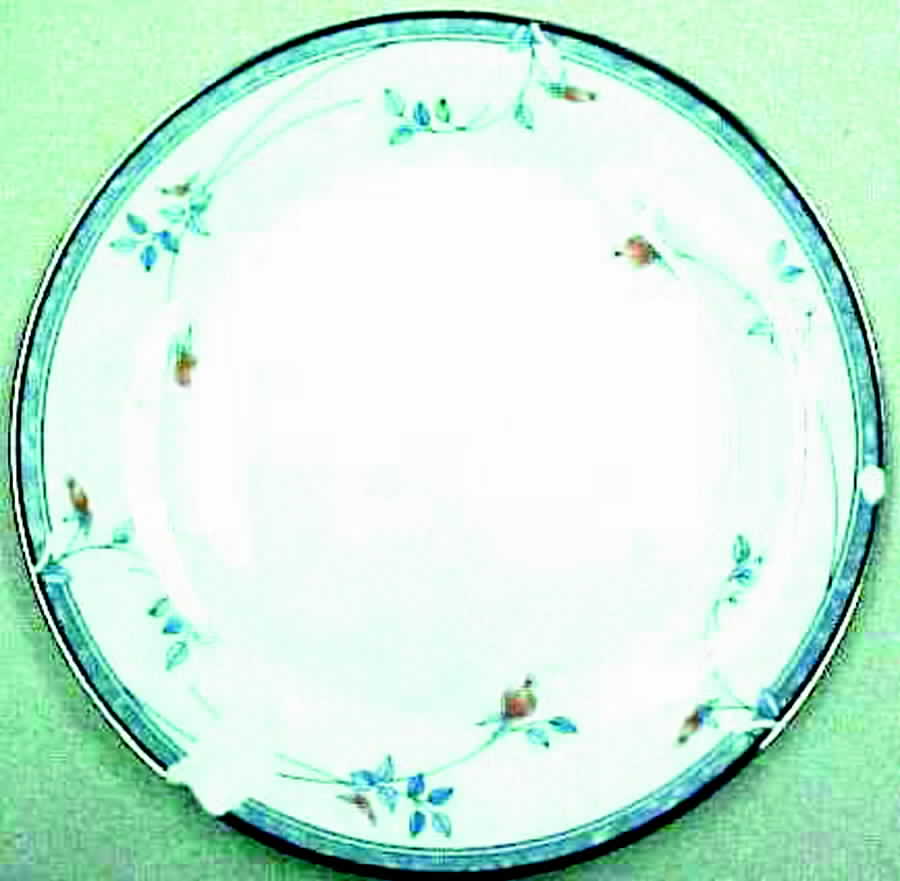 Marlborough Salad Plate by Noritake-1